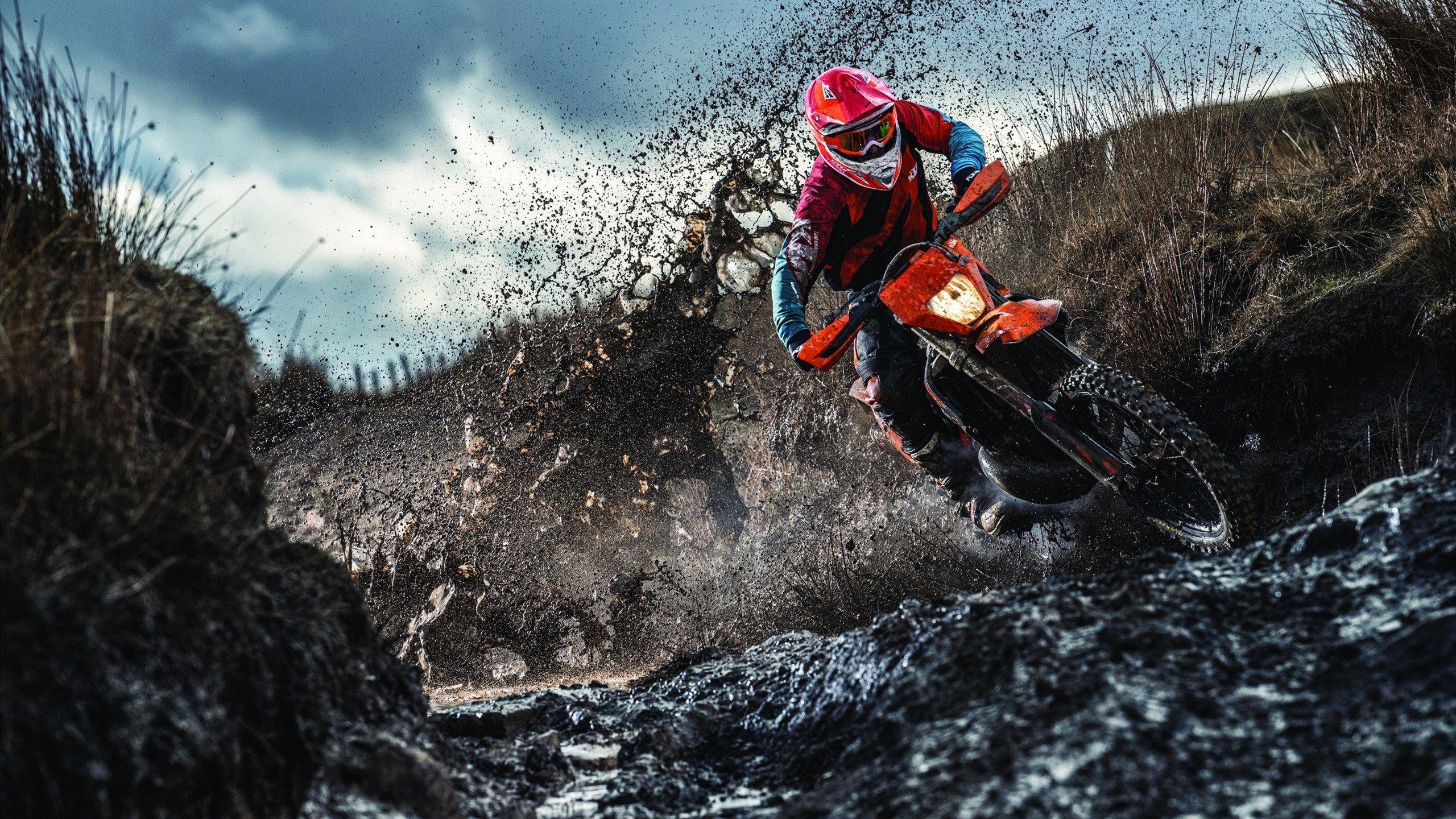 体育公益行动点燃希望之光 多位奥运冠军助力乡村儿童体育梦想