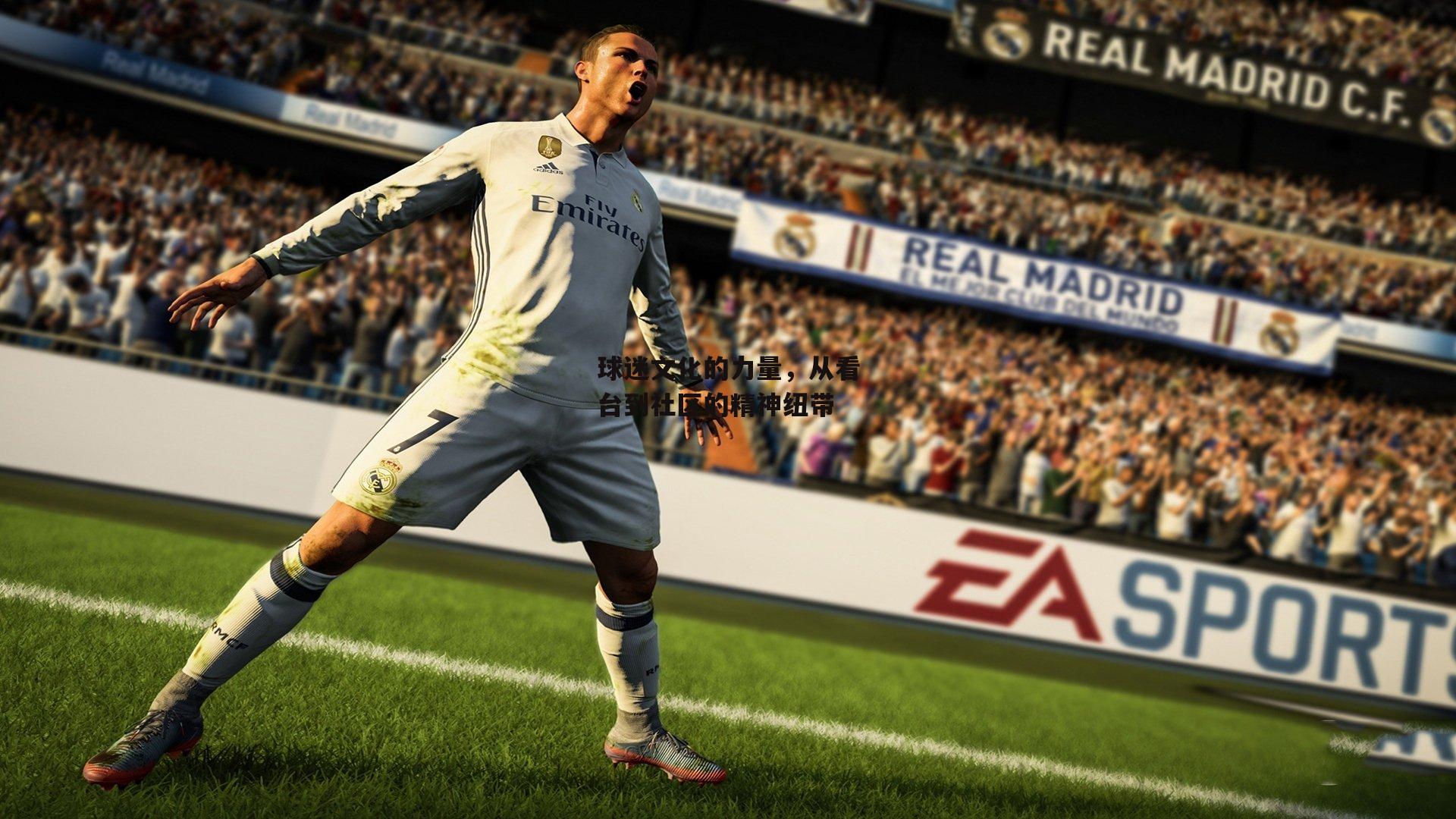 球迷文化的力量，从看台到社区的精神纽带