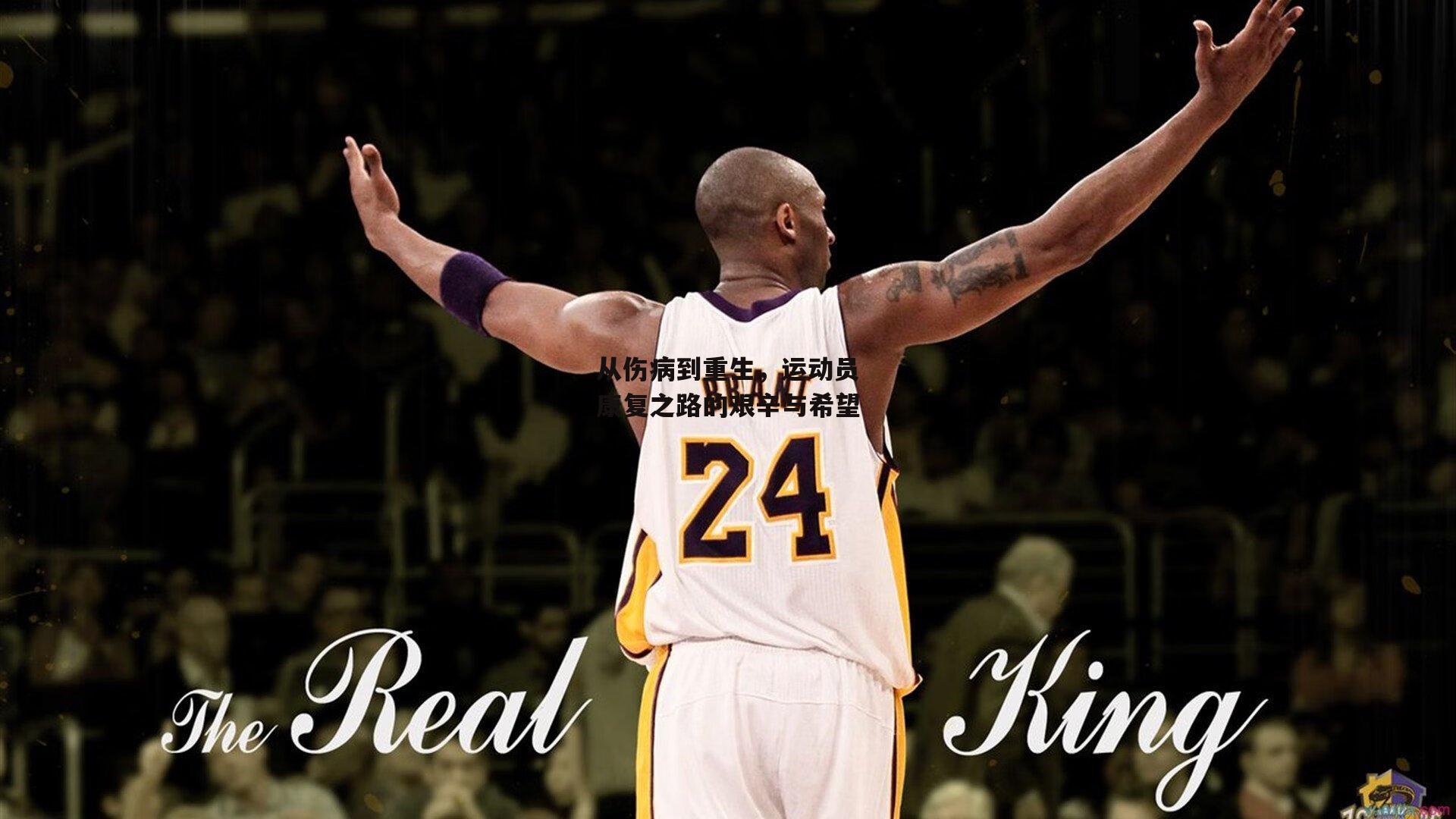 从伤病到重生，运动员康复之路的艰辛与希望