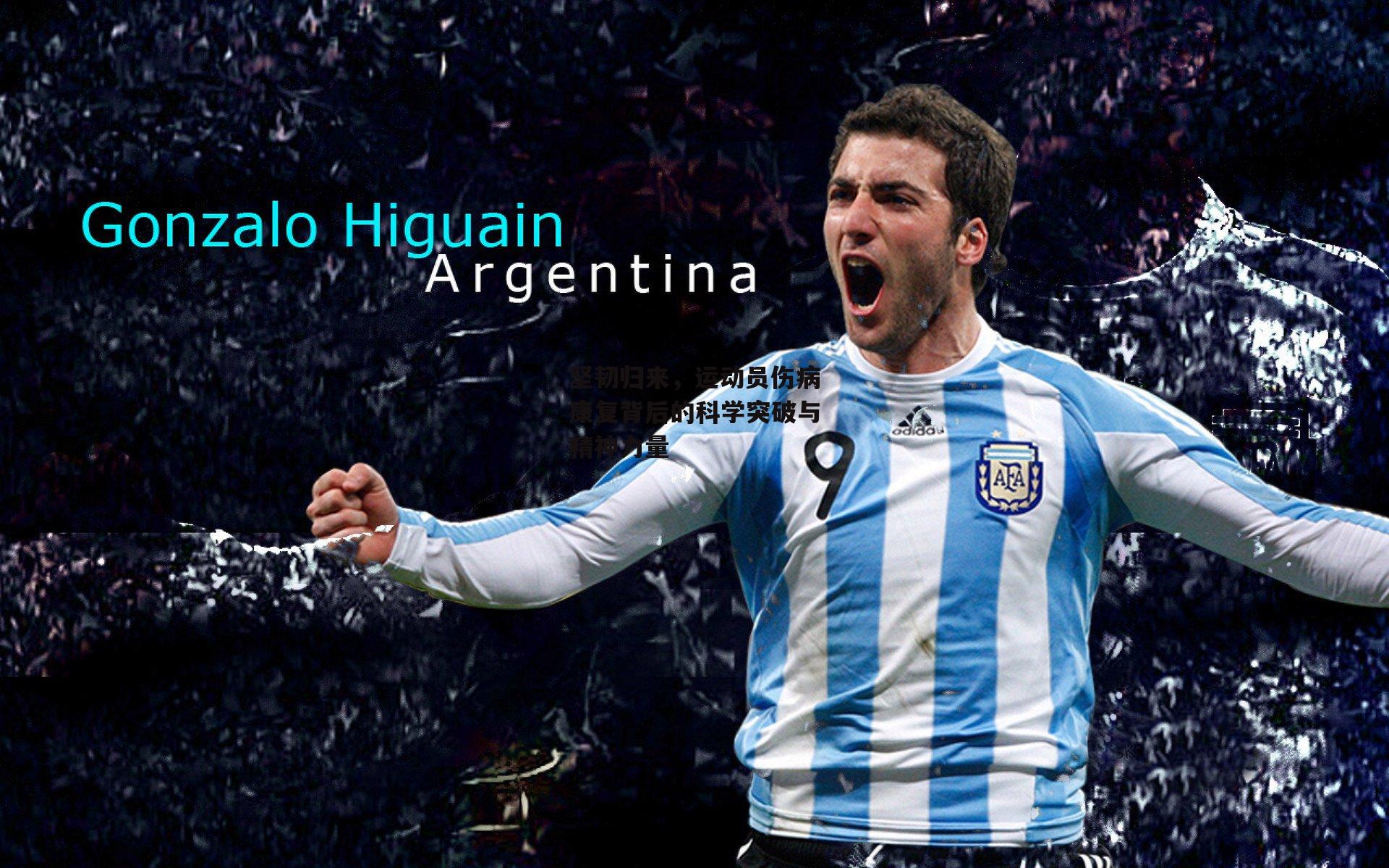 坚韧归来,运动员伤病康复背后的科学突破与精神力量